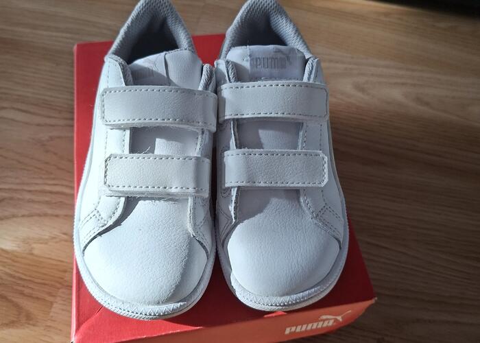 Grajewo ogłoszenia: Sprzedam adidasy puma rozmiar 25, dł.wkładki 15,5